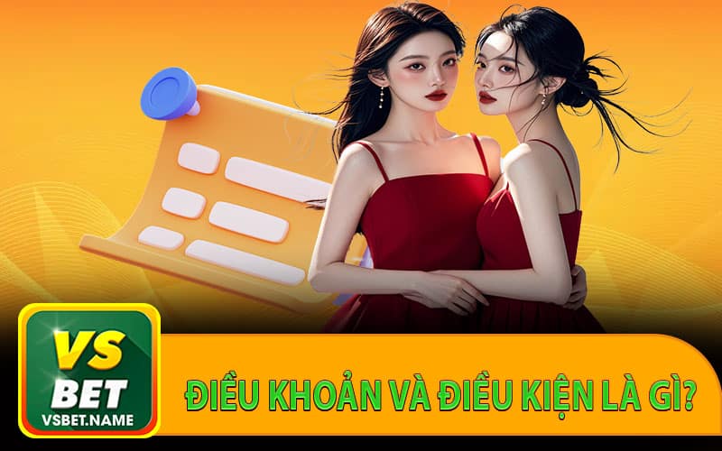 Điều khoản và điều kiện là gì?